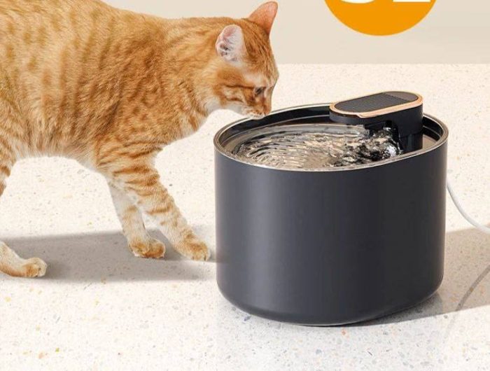 Fuente De Agua Para Mascotas - Imagen 2