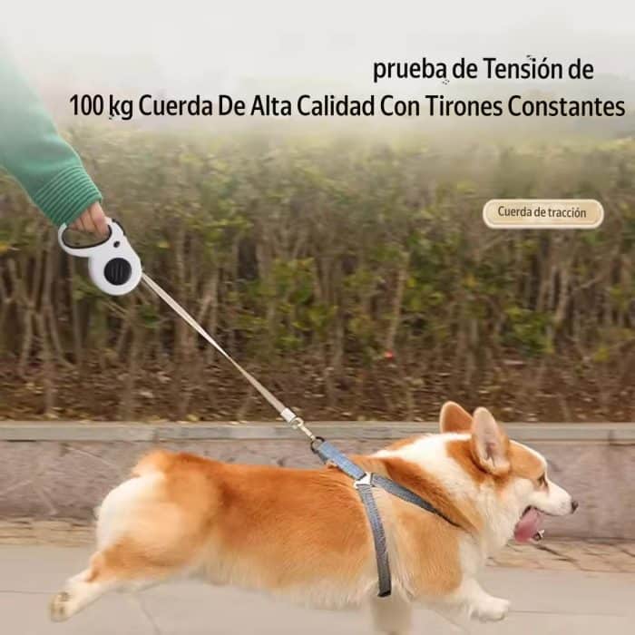 Correa Para Mascota 5m - Imagen 5